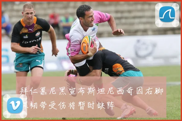 拜仁慕尼黑宣布斯坦尼西奇因右脚踝韧带受伤将暂时缺阵