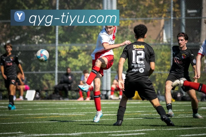 奇异果体育平台生态图