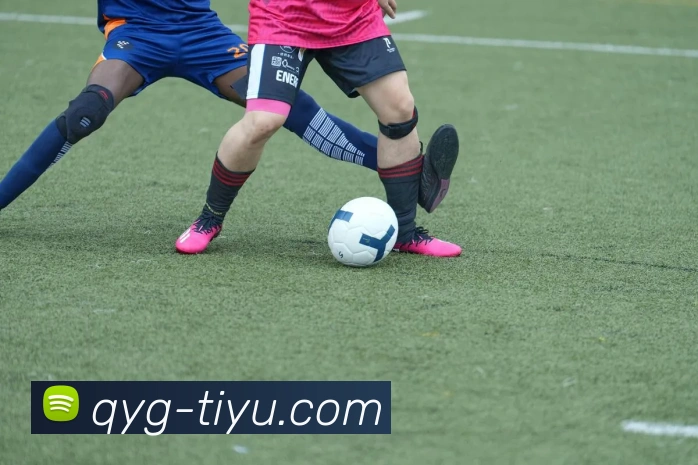 奇异果体育APP 封面图